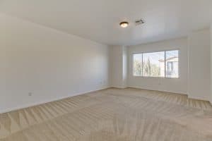 7309 Savannah Falls Str-19